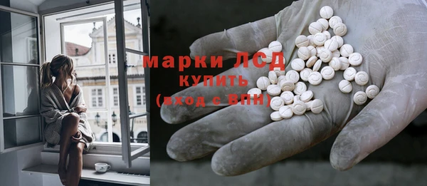ПСИЛОЦИБИНОВЫЕ ГРИБЫ Верея