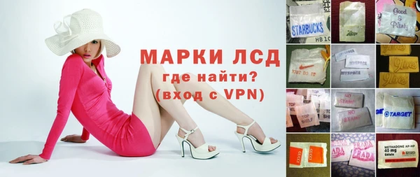 шишки Бородино