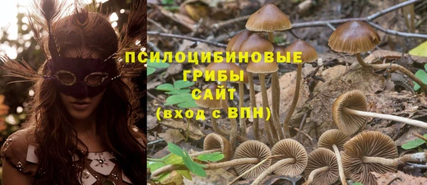 мет Верхний Тагил