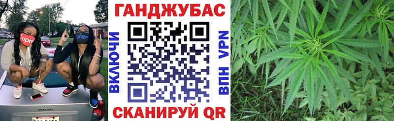 Шишки марихуана планчик  Бор 